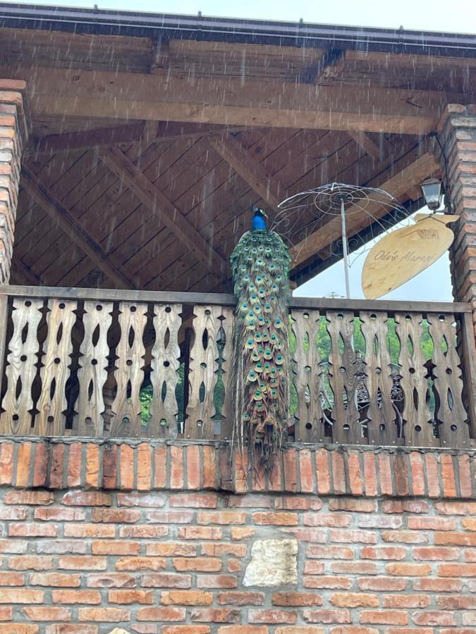 Odo'S Guest House Martvili Exterior foto